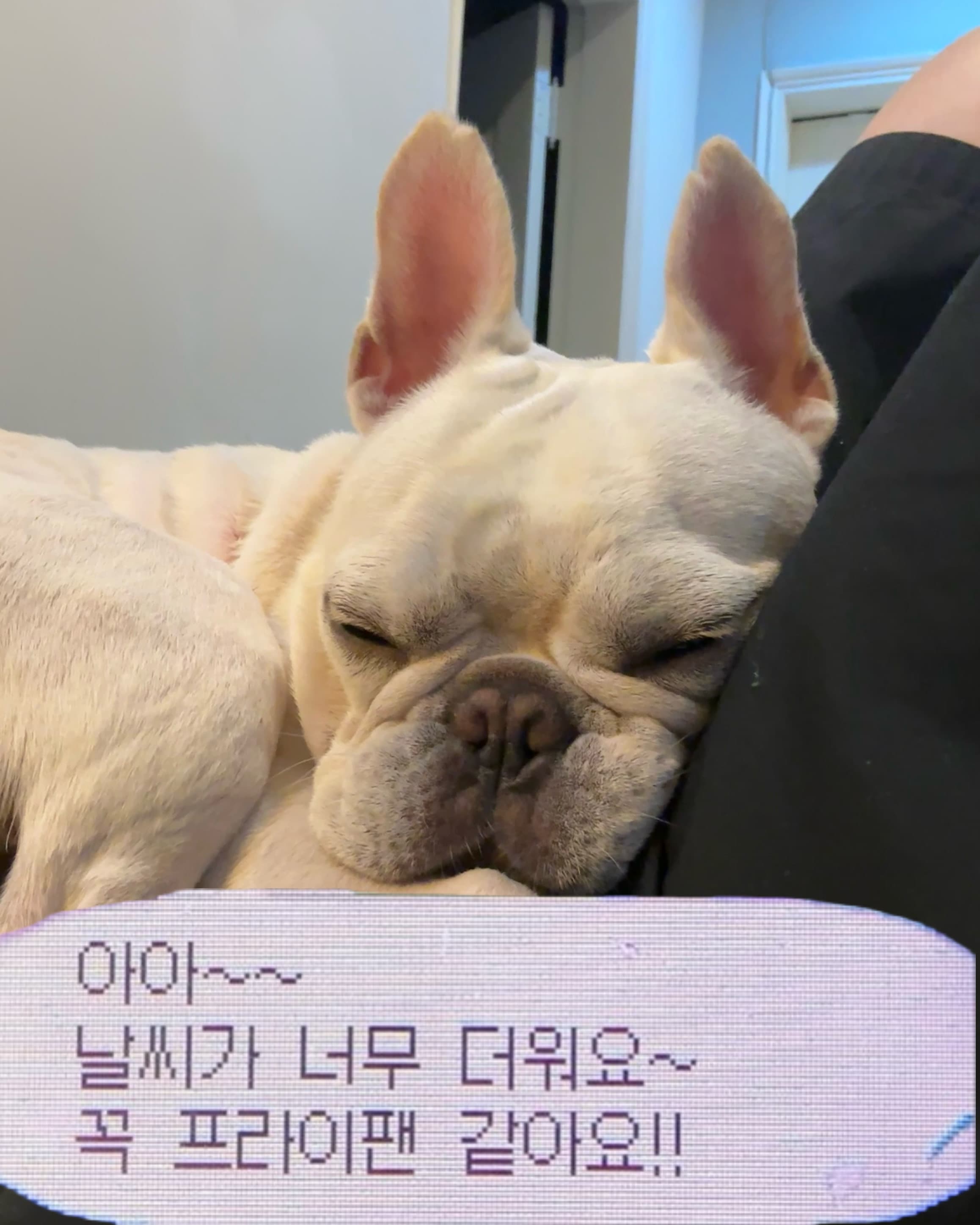메인 배너 3